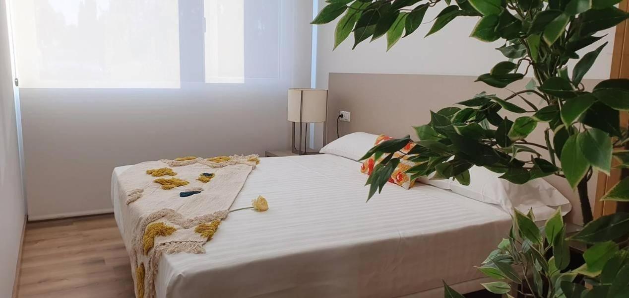 Antares 3 Appartement *